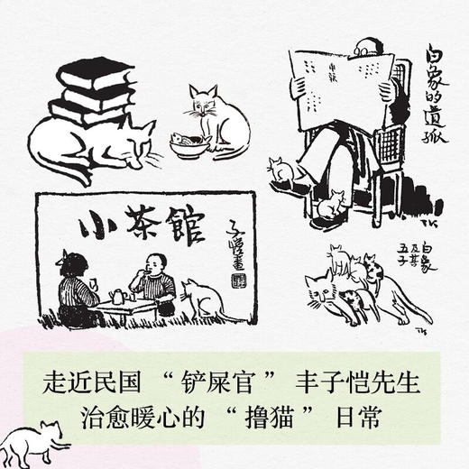 猫的可爱是群众意见 丰子恺 著 文学 商品图1