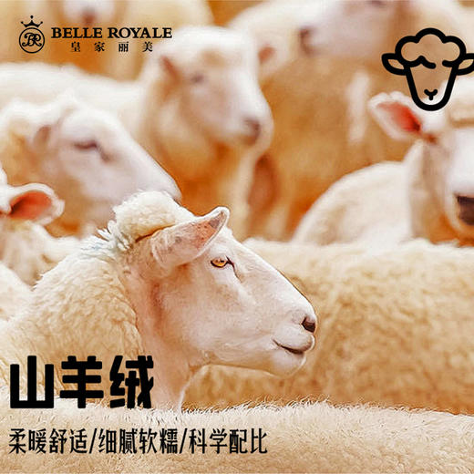 皇家丽美新款精纺山羊绒桑蚕丝内衣秋冬女士薄款打底女贴身保暖套装秋衣秋裤BNM8322 商品图6