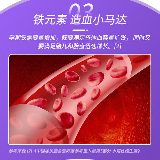 【北京同仁堂】内廷上用铁枼酸片 叶酸与铁同补给您的贴心礼物 30g/瓶 商品图6