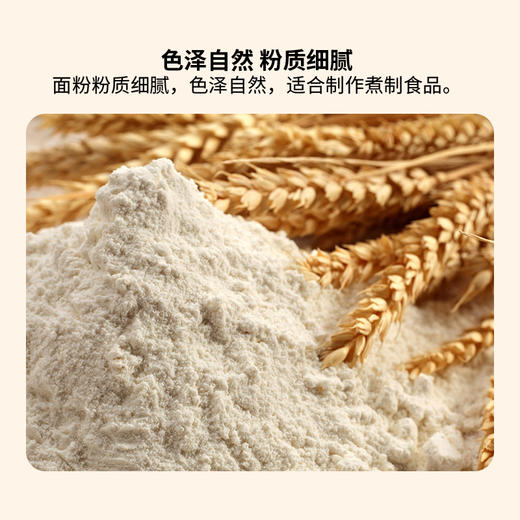 北大荒大荒印象多用途麦芯粉2.5kg 商品图3