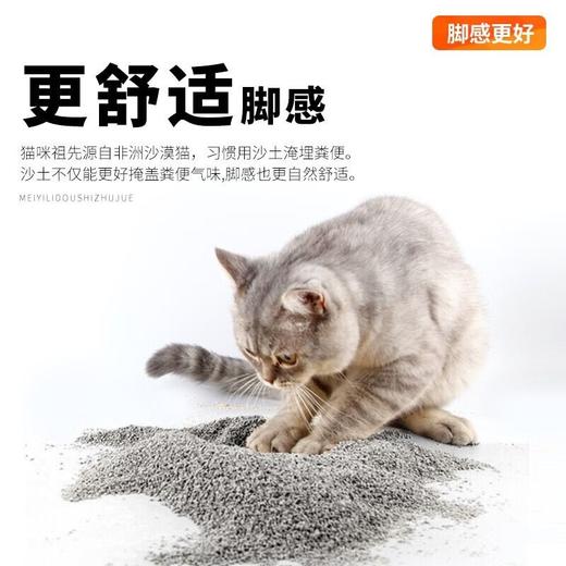 【低价好物】萌味日记天然矿石猫砂矿砂除臭结团低敏无尘猫沙2.5kg/袋 商品图4