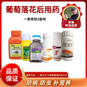 葡萄落花后方案   一套10喷雾器或400斤  防虫防病补钙  噻虫嗪＋喜打班＋玛琳辛＋益唯特＋靓美＋极满乐