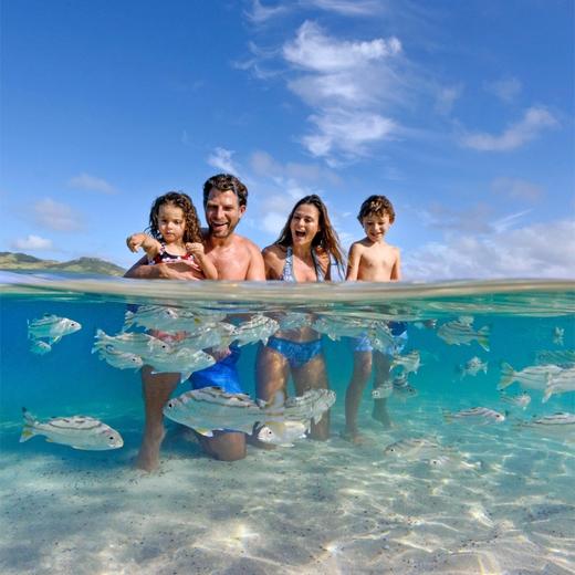 【斐济南海岛】出海浮潜深潜亲子乐园半日/一日游 商品图4