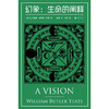 幻象 生命的阐释 威廉·巴特勒·叶芝 著 哲学 商品缩略图1