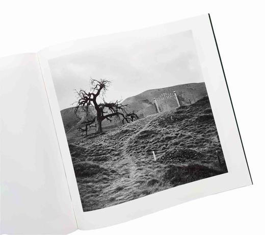 签名版《星月》杨延康摄影集 商品图7