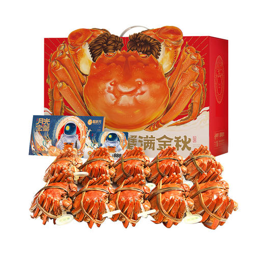 【无蟹不欢】蟹状元888型号 五对装雄蟹3.5两；雌蟹2.5两 商品图0