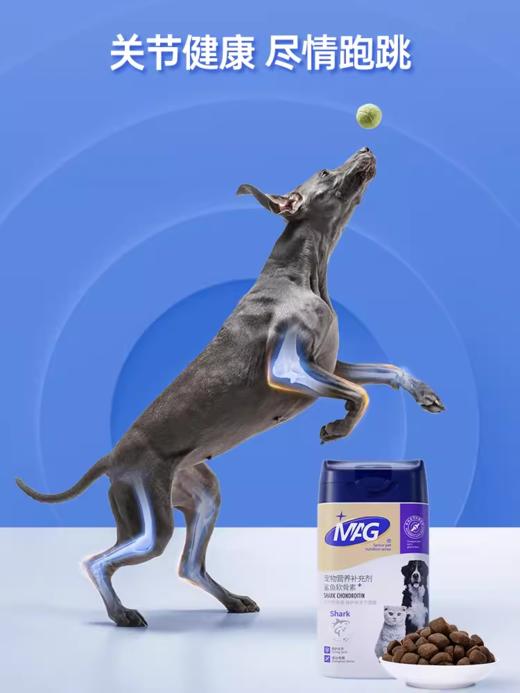 【MAG鲨鱼软骨素颗粒400g】狗狗关节宝泰迪金毛犬折耳猫通用补充营养卵磷脂-秒杀无赠品 商品图5