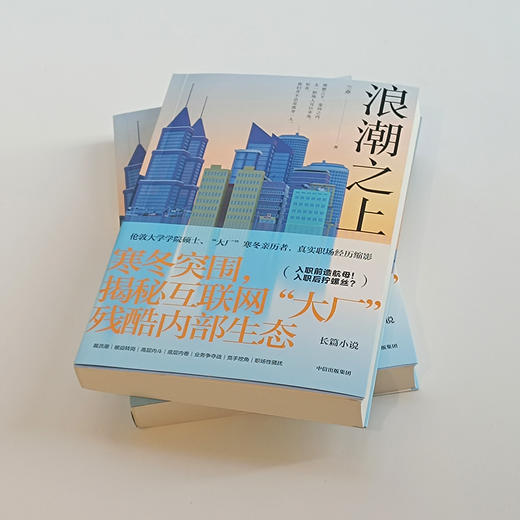 浪潮之上 兰亦 著 小说 商品图3