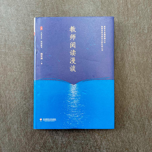 教师阅读漫谈 大夏书系 阅读教育 魏智渊 教师阅读一本通 商品图1