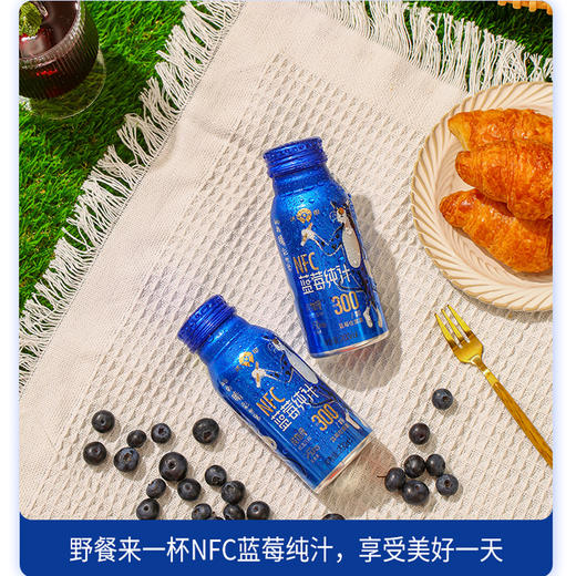 沃田蓝 NFC蓝莓纯汁 200ml*10瓶/箱 商品图3