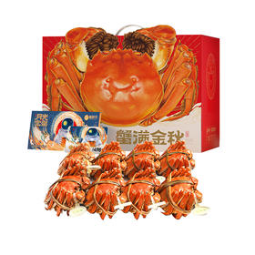 【无蟹不欢】蟹状元498型号 四对装雄蟹3.0两；雌蟹2.0两