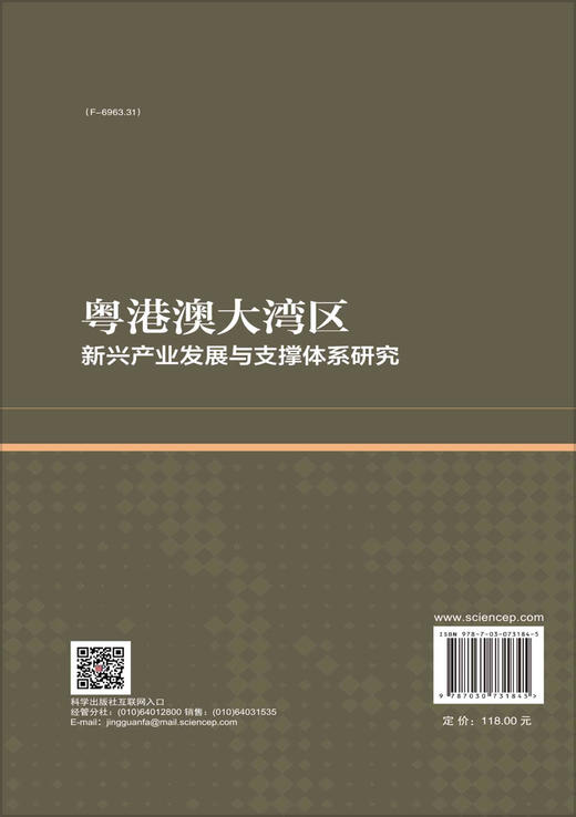 粤港澳大湾区新兴产业发展与支撑体系研究 商品图1