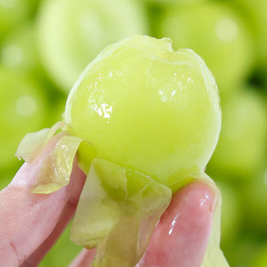 【十堰主城区包邮】新鲜水果 郧阳区青曲阳光玫瑰 4斤 商品图1