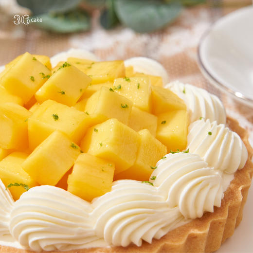 芒芒青柠芝士塔，可选8英寸东莞不配送「此东莞不配送」 商品图2