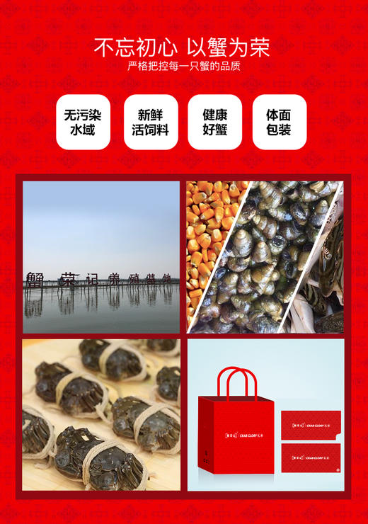 [金秋蟹礼3对装/4对装]蟹荣记阳澄湖大闸蟹礼品卡券  998型 A-463 A-464 商品图5