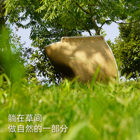 零赫兹草笠纳凉猫窝夏季房子睡垫清凉透气四季别墅可拆洗猫窝镂空
