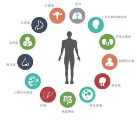 上班年龄，越来越大！身体状况，越来越垮！我们该怎么办？