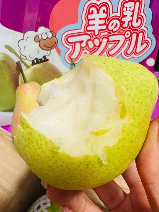 羊奶香梨一箱 商品图1
