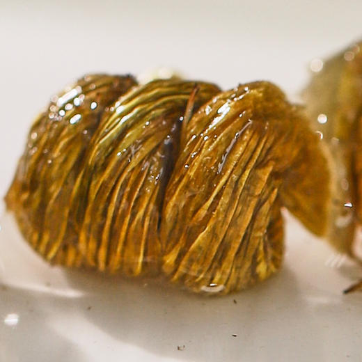 *自营*铁皮石斛80克 | 胶质浓郁嫩芽霍山产区铁皮石斛枫斗干制代用茶饮 商品图4