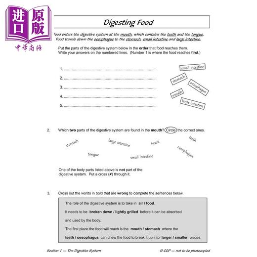 【中商原版】英国CGP KS2 Science Year Four Workout: Teeth, Digestion & Food Chains 商品图2