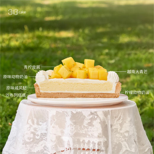 芒芒青柠芝士塔，可选8英寸东莞不配送「此东莞不配送」 商品图3