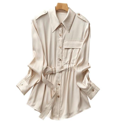 2023秋装新款衬衫女长袖宽松雪纺衫通勤女士衬衣A2663 商品图4