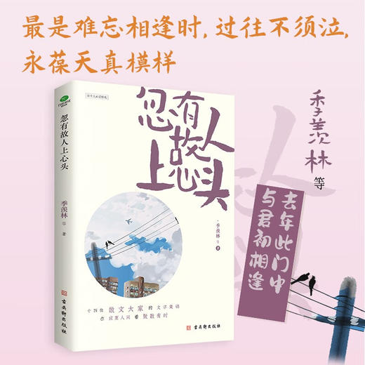 忽有故人上心头 季羡林等 著 文学 商品图1