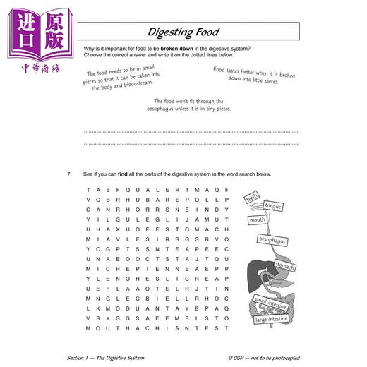 【中商原版】英国CGP KS2 Science Year Four Workout: Teeth, Digestion & Food Chains 商品图4