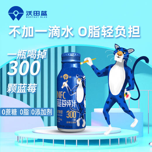 沃田蓝 NFC蓝莓纯汁 200ml*10瓶/箱 商品图2
