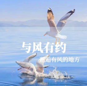 【与风有约】邂逅有风的地方丨大理+丽江丨5天4晚丨慢旅行