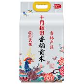 十月稻田 香稻贡米5kg（保质期18个月） 商品图0
