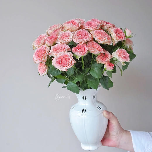 多头玫瑰 小仙女 10支/扎 云南基地发货 （价格已包含包装费用） 运费以实际为准，多退少补。 商品图1