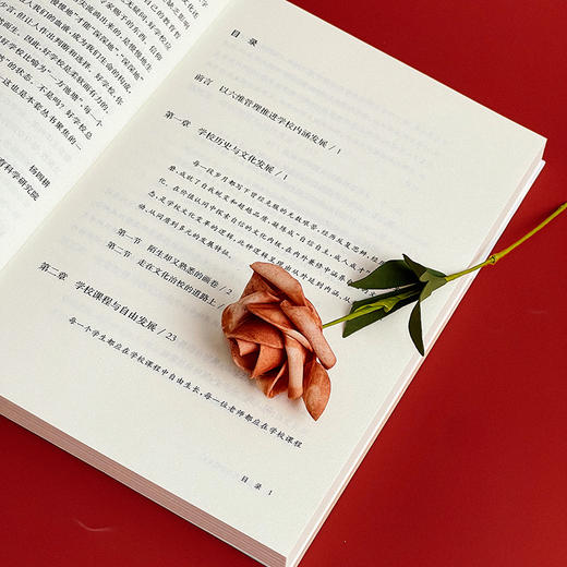 自信教育与个性生长 特色学校聚焦丛书 杨四耕 学校建设与管理 商品图7