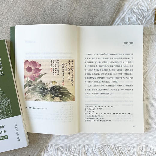 陶庵梦忆 张岱 著 文学 商品图3