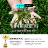 N3-【4条装】【女童 A类 开袋即穿】茶肌面料抑菌莫代尔舒适透气平角  女童内裤【青春系列】 商品缩略图4