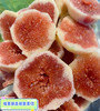 【果切】无花果切盒500g 商品缩略图0
