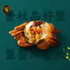 【双节买赠】超集有品1088型号 四对装 雄蟹3.5 两；雌蟹2.5 两 商品缩略图4