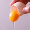 年卡（低至1.9/枚）康在此有机黑鸡蛋 无沙门氏菌 橘黄色大蛋黄 高蛋白 12箱×30枚（每月配送1箱） 商品缩略图2