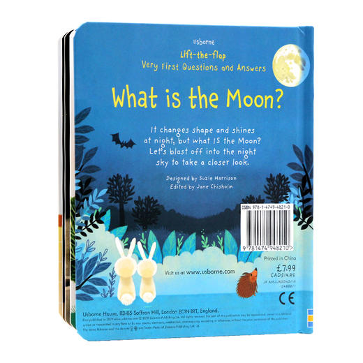 月亮是什么 英文原版 What is the Moon Usborne 尤斯伯恩 幼儿英语启蒙认知 英文版单词故事绘本 进口原版英语科普翻翻书 商品图1