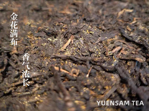印象尊品2012年安化黑茶茯砖茶金花2.8千克 商品图2