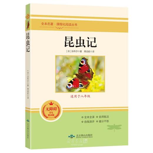 昆虫记(适用于8年级无障碍学生精读版)全本名著课程化阅读丛书 商品图0