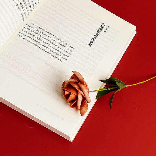 自信教育与个性生长 特色学校聚焦丛书 杨四耕 学校建设与管理 商品图8