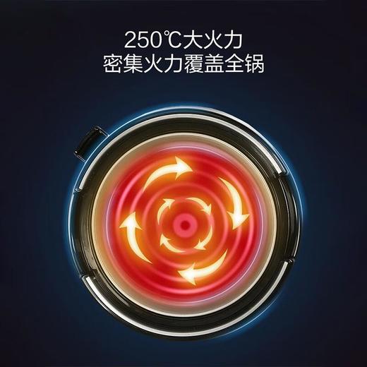 【直发】象印(ZO JIRUSHI)电热火锅烧烤鸳鸯锅-电锅煎烤电煮锅 RAH30C 商品图6