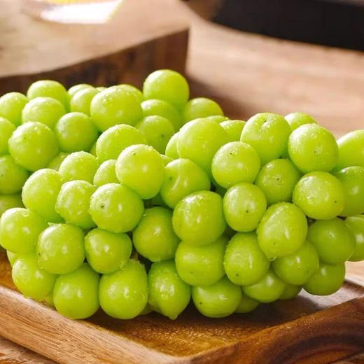 香印青提 约（1000g） /份 商品图0