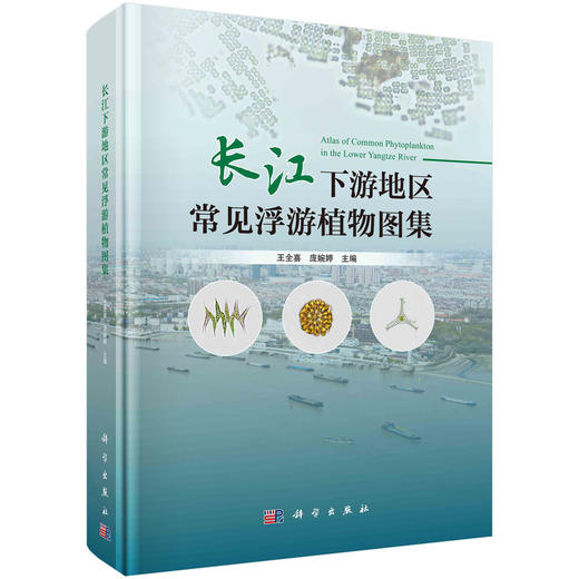 浮游植物/王全喜教授/生物多样性/水生/长江 商品图0