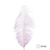 永生花材 | 火鸟毛浅紫 商品缩略图0