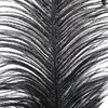 永生花材 | 火鸟毛黑色 商品缩略图1