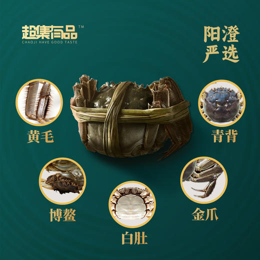 【双节买赠】超集有品1088型号 四对装 雄蟹3.5 两；雌蟹2.5 两 商品图3