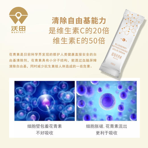 沃田蓝 蓝莓花青素冻干粉 6g*30包/盒 商品图4