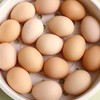（季卡）康在此有机黑鸡蛋 无沙门氏菌 橘黄色大蛋黄 高蛋白 共90枚/分三次配送  每次配送30枚 商品缩略图4